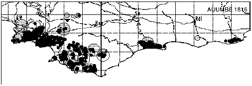 Aulax umbellata Distribution