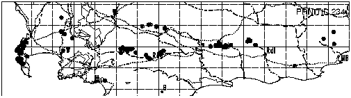Protea nitida dwarf Distribution