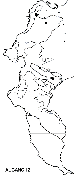 Aulax cancellata Distribution