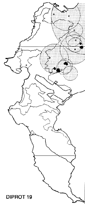 Diastella proteoides Distribution