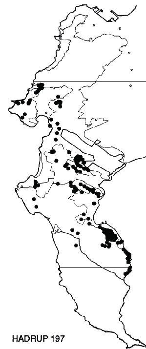 Hakea drupacea Distribution