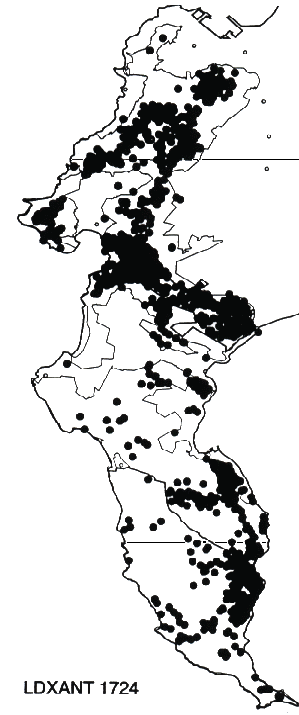 Leucadendron xanthoconus Distribution