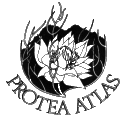 Protea Atlas Logo