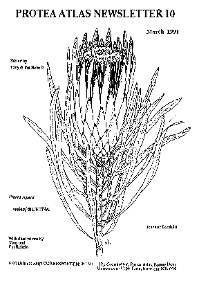 PAN 10