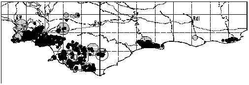 Competition - July/August 1999