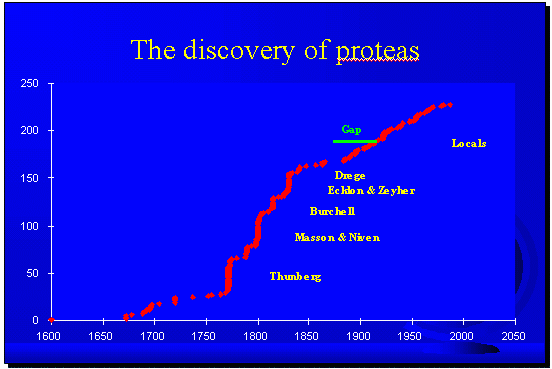 Discovery of Proteas