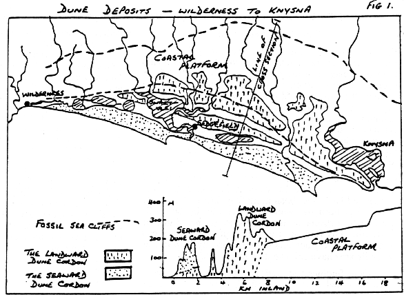 Dune deposits - Wilderness to Kynsna
