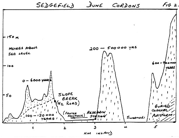 Sedgefield dune cordons