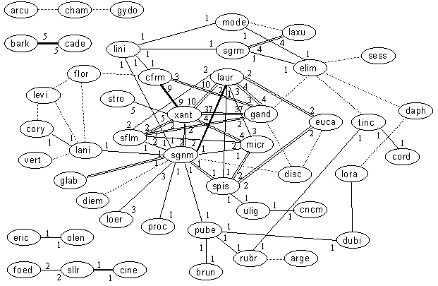 Relationships within Leucadendron Species