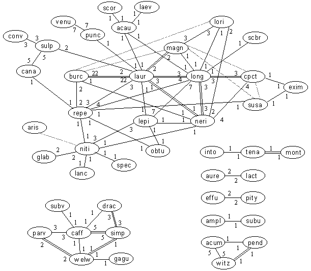 Relationships within Protea Species