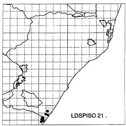 Leucadendron spissifolium oribinum Distribution