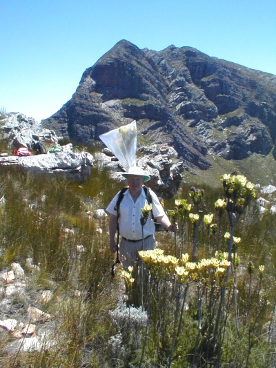 John Rourke's herbarium specimens - Photo: Nigel Forshaw