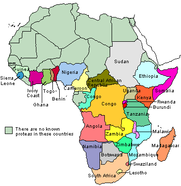 Africa Map