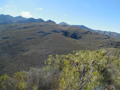 Rayner Trophy 2003 - Photo: Nigel Forshaw