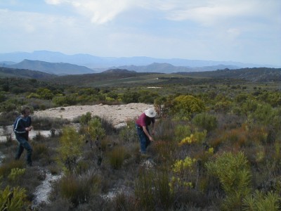 Rayner Trophy 2003 - Photo: Nigel Forshaw