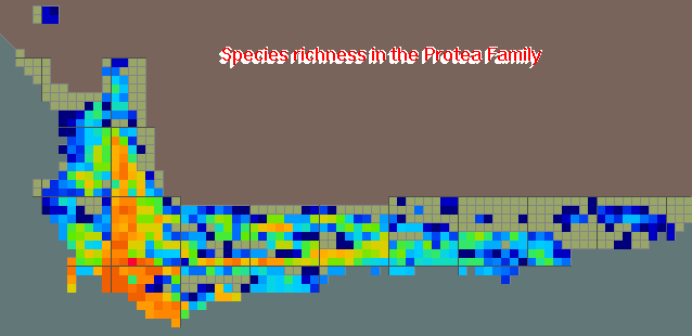 Protea Family Species Richness