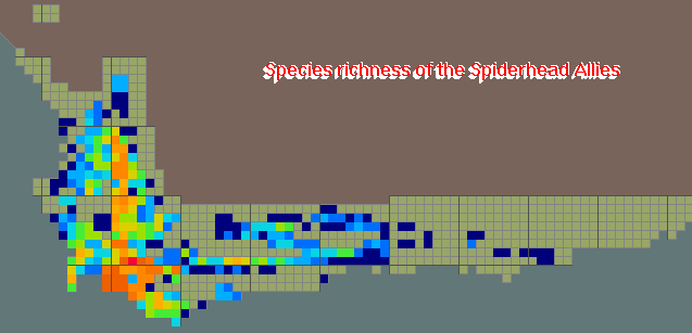 Map Species Richness for Spiderhead Allies